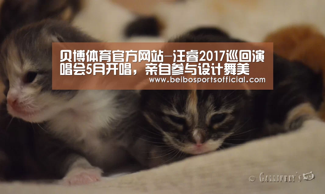 贝博体育官方网站-汪睿2017巡回演唱会5月开唱,亲自参与设计舞美(图3) 贝博体育App